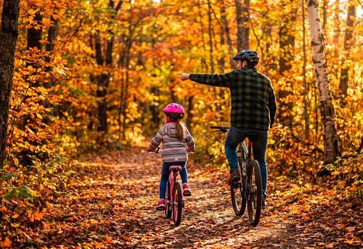 hobby autumn