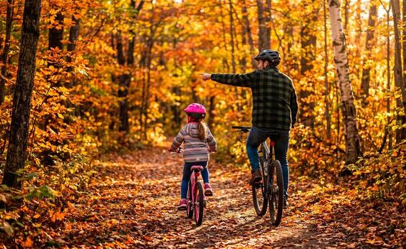 hobby autumn